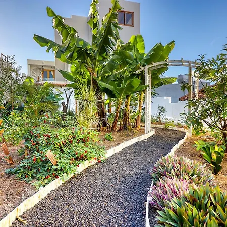 Spacious With Tropical Garden, Bbq, Near Seaside Semesterbostad